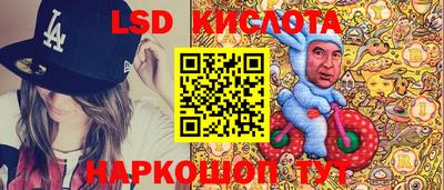 крисы Пенза