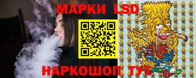 крисы Пенза