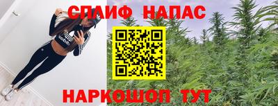 крисы Пенза