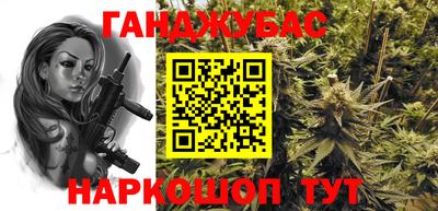 крисы Пенза