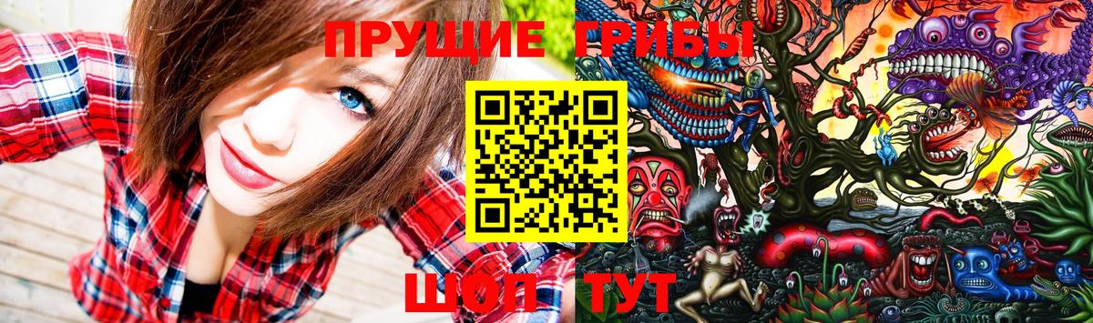 Псилоцибиновые грибы прущие грибы Саратов
